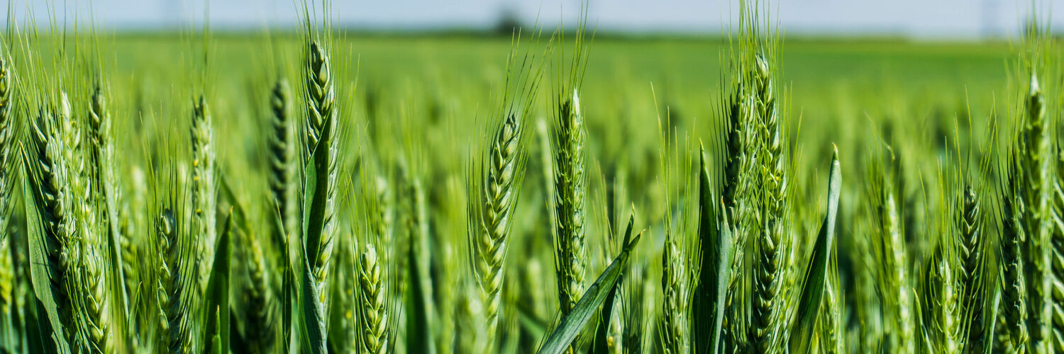 ipid_ erhverv_ miljøansvar.jpg ipid_ erhverv_ miljøansvar.jpg